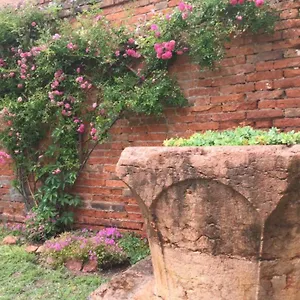 Garden Houses Apartman